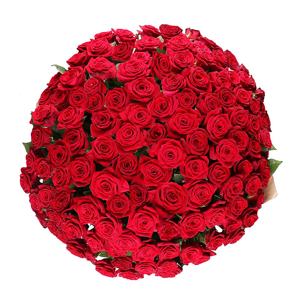 Bouquet 101 roses  + Candies Ferrero Rocher